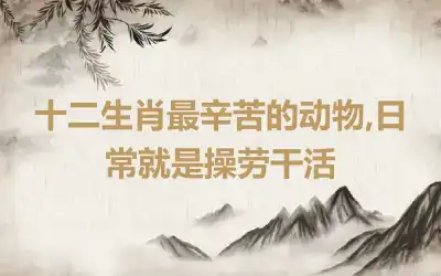 十二生肖最辛苦的动物,日常就是操劳干活