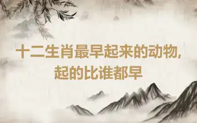 十二生肖最早起来的动物,起的比谁都早