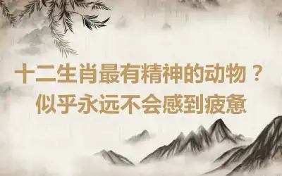 十二生肖最有精神的动物？似乎永远不会感到疲惫