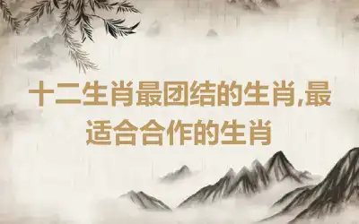 十二生肖最团结的生肖,最适合合作的生肖