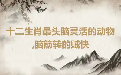 十二生肖最头脑灵活的动物,脑筋转的贼快