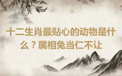 十二生肖最贴心的动物是什么？属相兔当仁不让