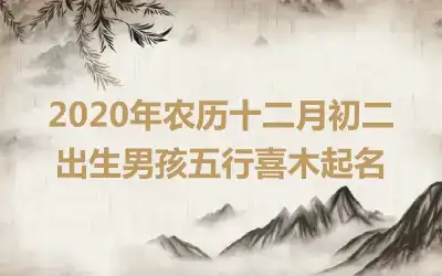 2020年农历十二月初二出生男孩五行喜木起名