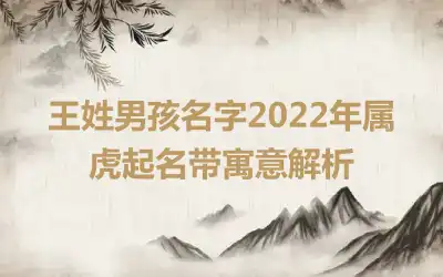 王姓男孩名字2022年属虎起名带寓意解析