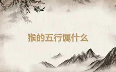 猴的五行属什么