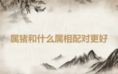 属猪和什么属相配对更好