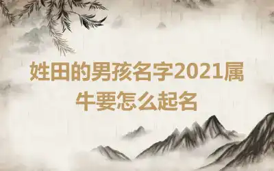 姓田的男孩名字2021属牛要怎么起名