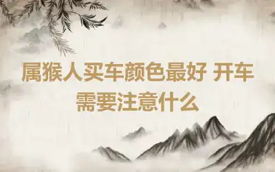 属猴人买车颜色最好 开车需要注意什么