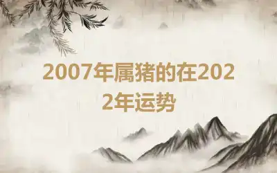 2007年属猪的在2022年运势