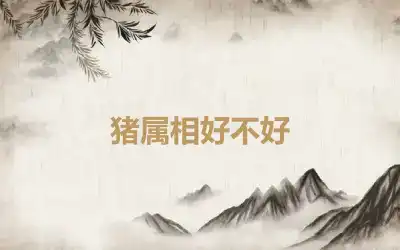 猪属相好不好