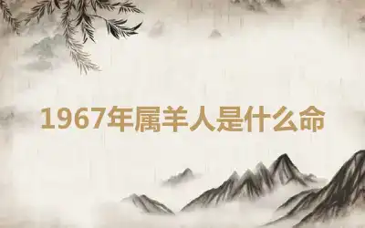 1967年属羊人是什么命