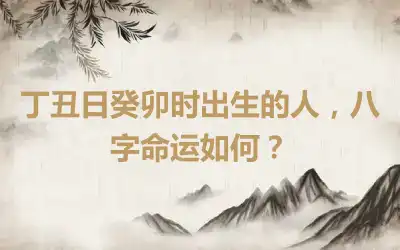 丁丑日癸卯时出生的人，八字命运如何？