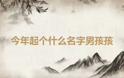 今年起个什么名字男孩孩