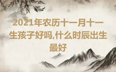 2021年农历十一月十一生孩子好吗,什么时辰出生最好