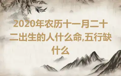 2020年农历十一月二十二出生的人什么命,五行缺什么