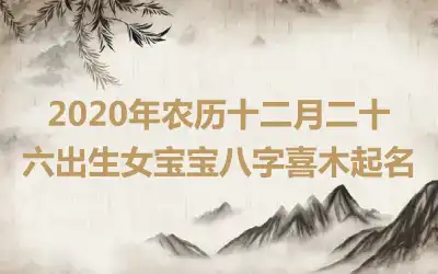 2020年农历十二月二十六出生女宝宝八字喜木起名