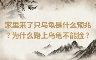 家里来了只乌龟是什么预兆？为什么路上乌龟不能捡？