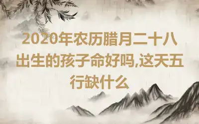 2020年农历腊月二十八出生的孩子命好吗,这天五行缺什么