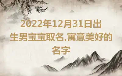 2022年12月31日出生男宝宝取名,寓意美好的名字