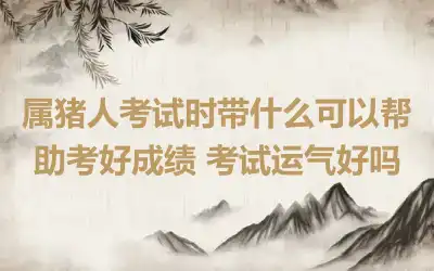 属猪人考试时带什么可以帮助考好成绩 考试运气好吗