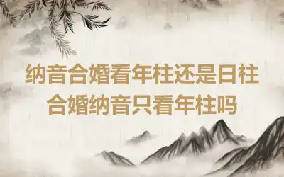 纳音合婚看年柱还是日柱 合婚纳音只看年柱吗