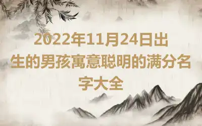 2022年11月24日出生的男孩寓意聪明的满分名字大全