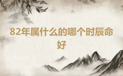 82年属什么的哪个时辰命好