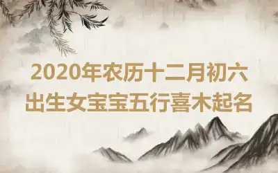 2020年农历十二月初六出生女宝宝五行喜木起名