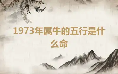 1973年属牛的五行是什么命