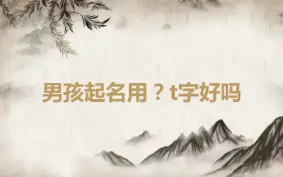 男孩起名用？t字好吗