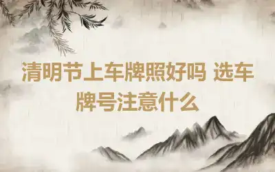 清明节上车牌照好吗 选车牌号注意什么