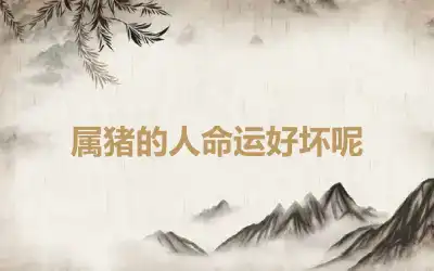 属猪的人命运好坏呢