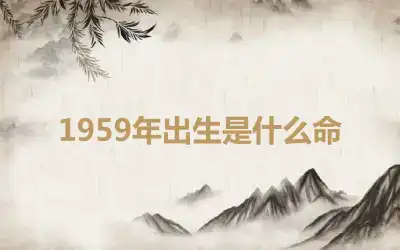 1959年出生是什么命