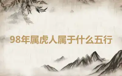 98年属虎人属于什么五行