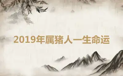 2019年属猪人一生命运