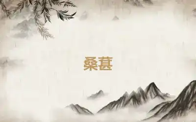 桑葚