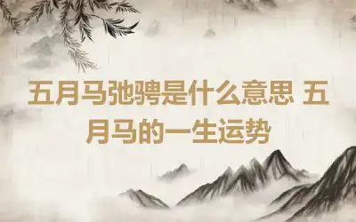 五月马弛骋是什么意思 五月马的一生运势