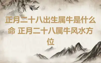 正月二十八出生属牛是什么命 正月二十八属牛风水方位