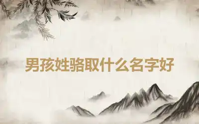 男孩姓骆取什么名字好