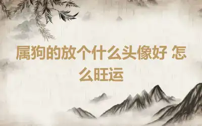 属狗的放个什么头像好 怎么旺运