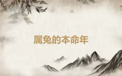 属兔的本命年