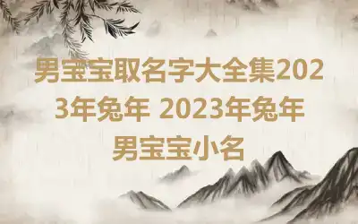 男宝宝取名字大全集2023年兔年 2023年兔年男宝宝小名