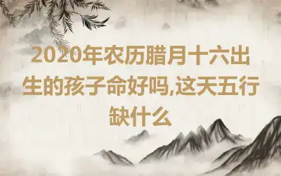 2020年农历腊月十六出生的孩子命好吗,这天五行缺什么