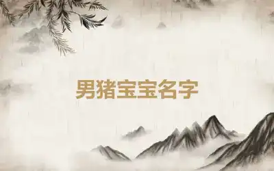 男猪宝宝名字