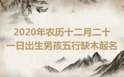 2020年农历十二月二十一日出生男孩五行缺木起名