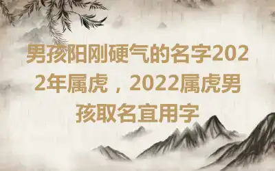 男孩阳刚硬气的名字2022年属虎，2022属虎男孩取名宜用字