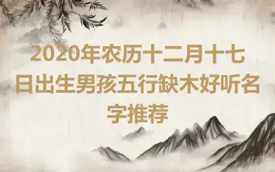 2020年农历十二月十七日出生男孩五行缺木好听名字推荐