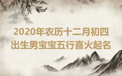 2020年农历十二月初四出生男宝宝五行喜火起名