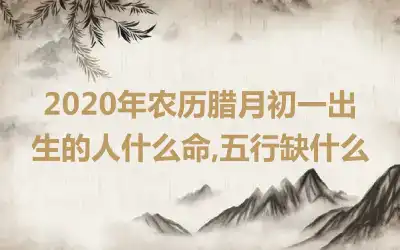 2020年农历腊月初一出生的人什么命,五行缺什么