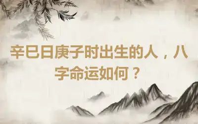 辛巳日庚子时出生的人，八字命运如何？